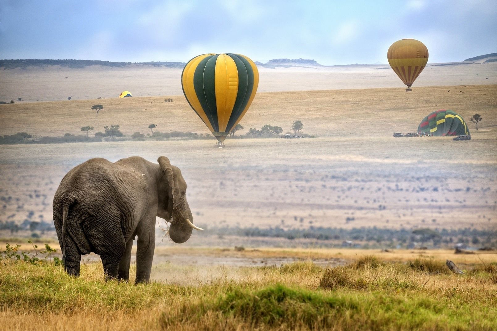 Africa-Kenya-Masai-Mara-Balloon-Enchanting-Travels-Elephant