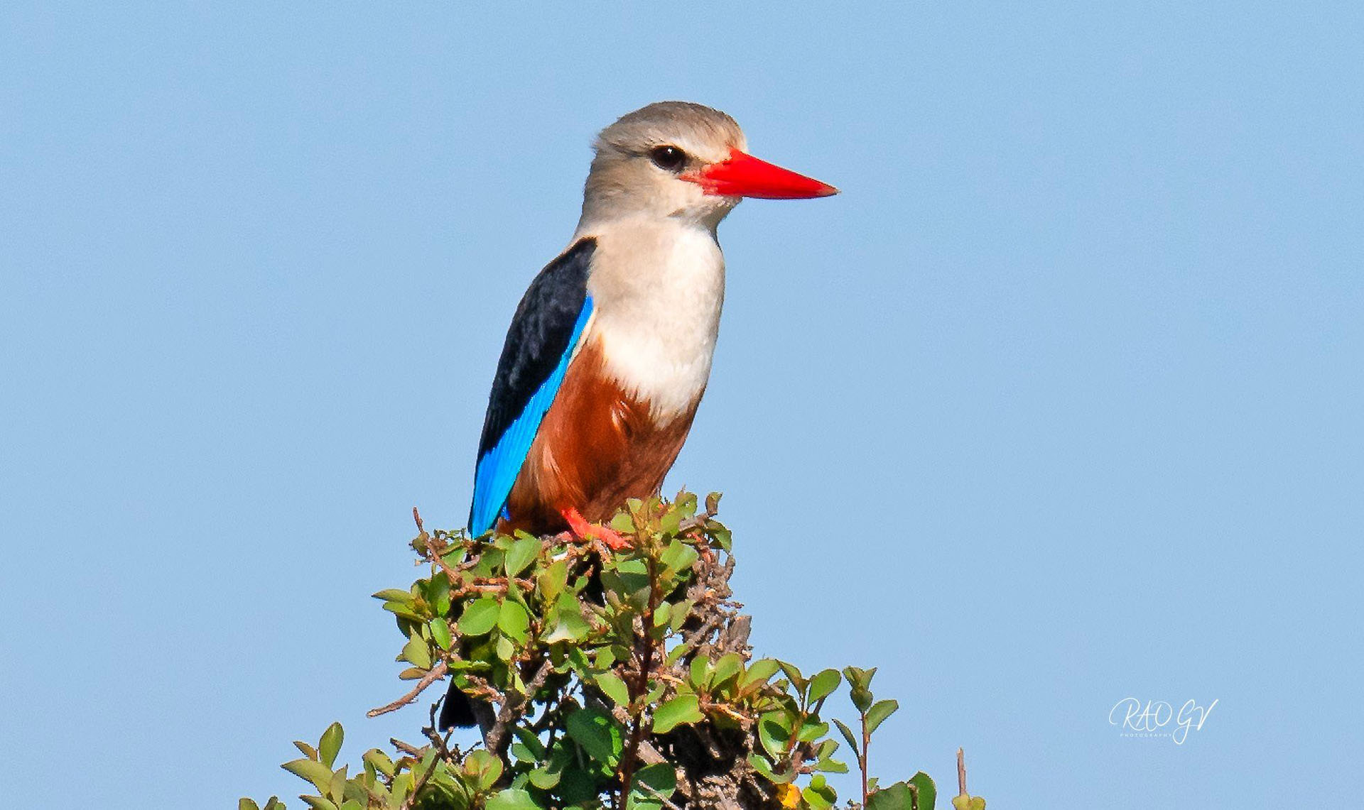 44795354_10212369562170299_4253043905475379200_n