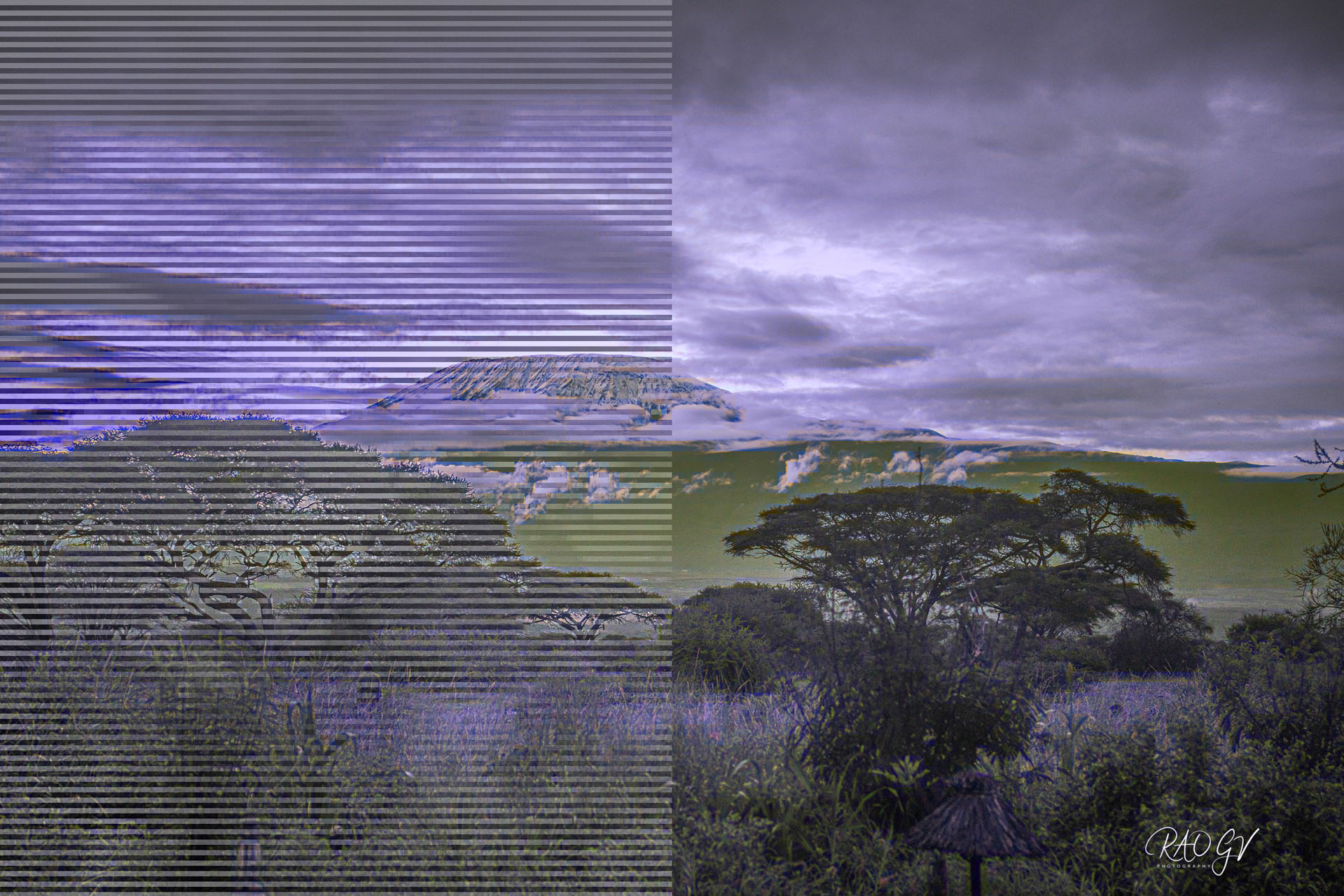 500043485_10227105536560449_5784145416282078040_n