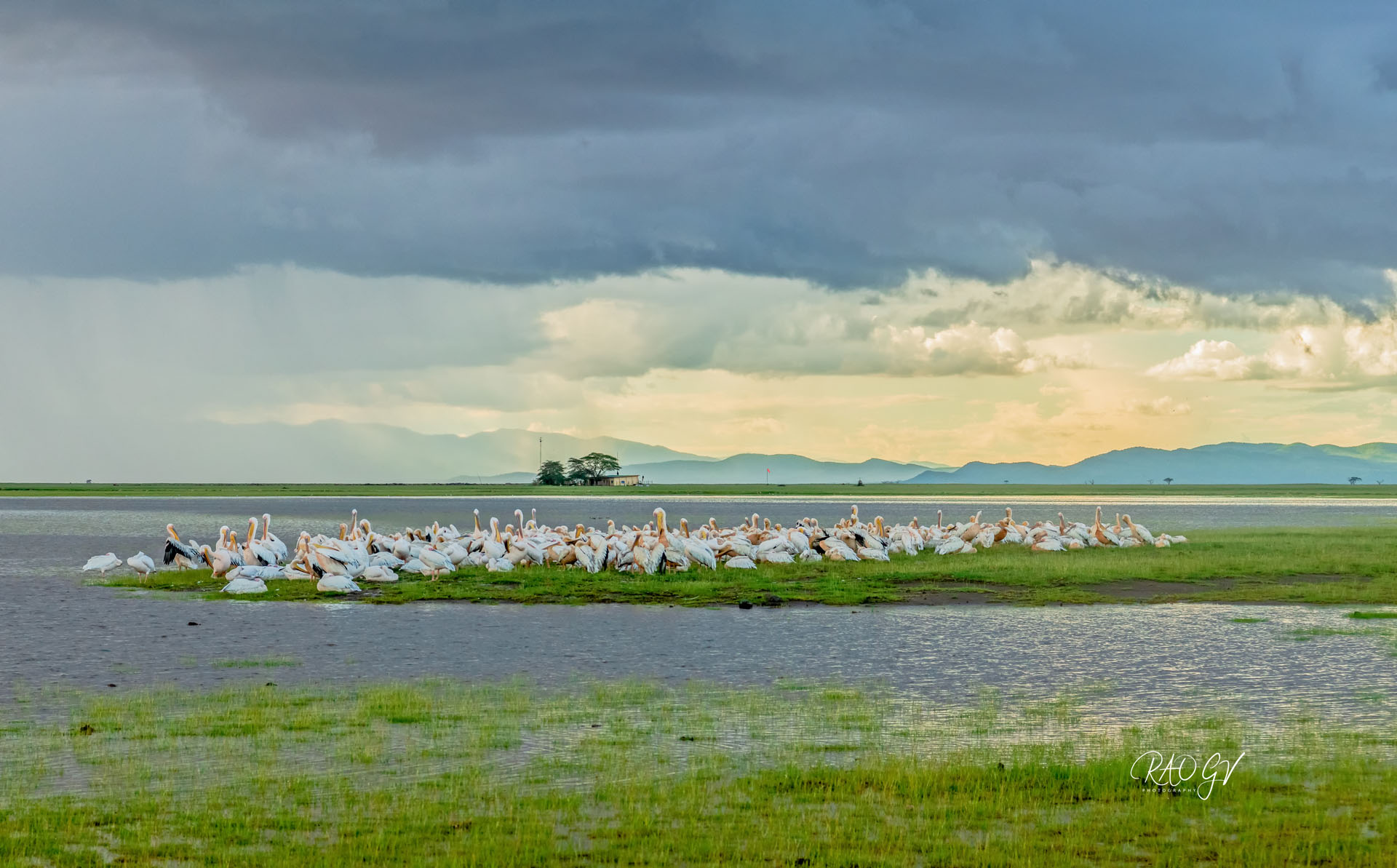 GVR_3761-Edit-2-Edit